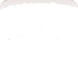 若葉の原っぱ