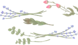 剪定されたドライフラワー