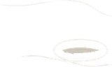 撮影に使うテグス