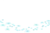 散らばった花