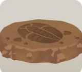 岩に埋まった三葉虫の化石