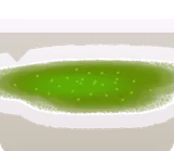 発光した苔