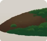 苔の生えた岸辺