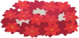 敷き詰められた赤いゼフィランサス