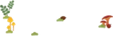 きのこの群生