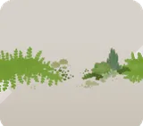 小さな多肉植物