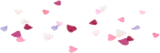 舞い落ちた薔薇の花びら