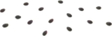 お弁当のゴマ