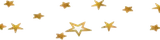 星形の床飾り
