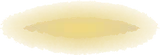 照らされた光