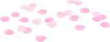 桜の花びらの絨毯