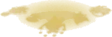 映し出された光の幻影