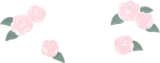足元を彩る薔薇