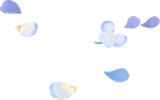 ビオラの花びら