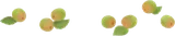 あつめた青梅