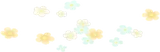 庭の小花