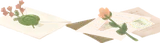 誰かに宛てた手紙とバラ