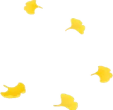 舞い落ちたイチョウの葉