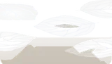 スケルトンリーフ