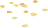 地に舞った花びら