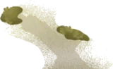 導くように生えた苔