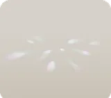 床に映るプリズム