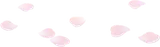 散らばる桜の花びら