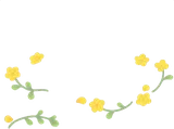 小さな野花