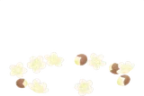 散らばったビワの花