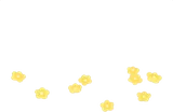 庭で拾った小さなお花