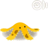 バナナピール・ブチ