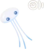 プカポン・白