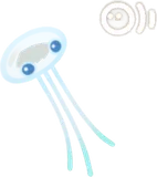 プカポン・クリア