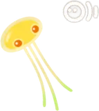 プカポン・黄