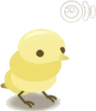 チョロロギス・白