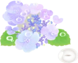 晴れ間の紫陽花の木