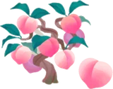 幻都の桃の木