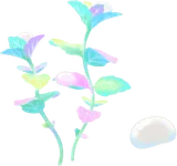 虹色の葉をもつ植物の木