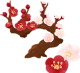 紅白梅盆栽の木