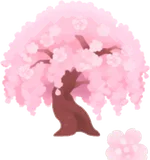 満開の枝垂桜の木