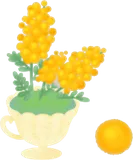 ミモザが咲くティーカップの木