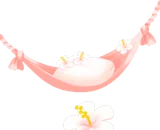 小さなリゾート風ハンモックの木
