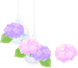 サンルームの紫陽花の木