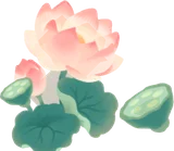 蓮の木