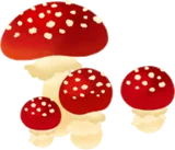 真っ赤なキノコの木
