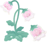 朝露に濡れる氷凛花の木