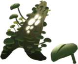 水草アクアリウムの木