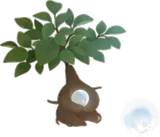 ガジュマルの木