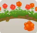 クラウドベリーのなる倒木