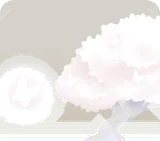 霞む白桜の木